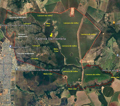 FAZENDA SANTA FILOMENA, COM ÁREA DE 1.738,99 HECTARES, CIDADE OCIDENTAL-GO