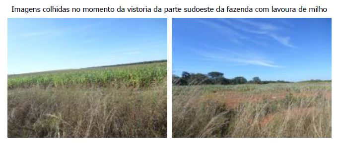 FAZENDA SANTA FILOMENA, COM ÁREA DE 1.738,99 HECTARES, CIDADE OCIDENTAL-GO