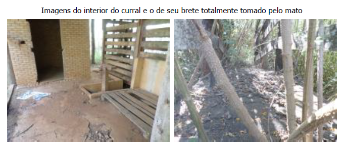 FAZENDA SANTA FILOMENA, COM ÁREA DE 1.738,99 HECTARES, CIDADE OCIDENTAL-GO