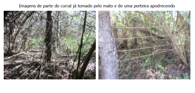 FAZENDA SANTA FILOMENA, COM ÁREA DE 1.738,99 HECTARES, CIDADE OCIDENTAL-GO