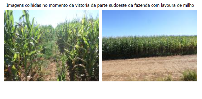 FAZENDA SANTA FILOMENA, COM ÁREA DE 1.738,99 HECTARES, CIDADE OCIDENTAL-GO
