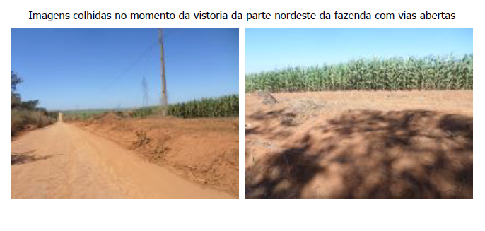FAZENDA SANTA FILOMENA, COM ÁREA DE 1.738,99 HECTARES, CIDADE OCIDENTAL-GO