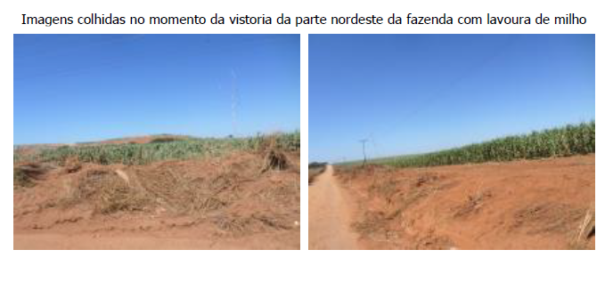 FAZENDA SANTA FILOMENA, COM ÁREA DE 1.738,99 HECTARES, CIDADE OCIDENTAL-GO