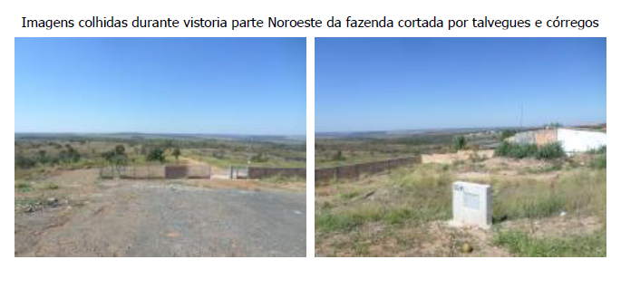 FAZENDA SANTA FILOMENA, COM ÁREA DE 1.738,99 HECTARES, CIDADE OCIDENTAL-GO
