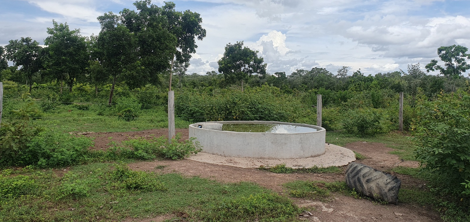 FAZENDA CANABRAVA, IZIDIO OU EGIDIO, VILA BOA, FLORES DE GOIÁS-GO