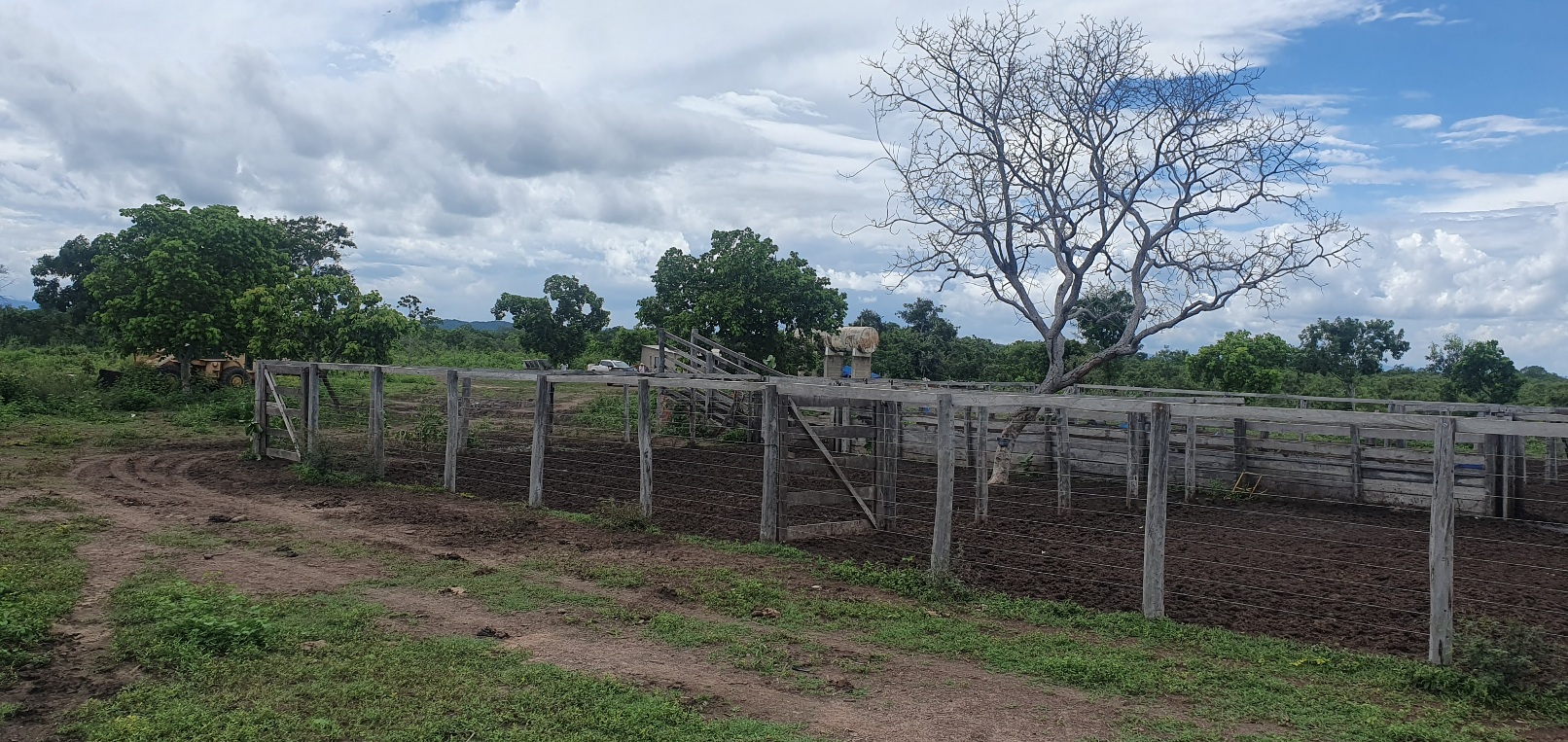 FAZENDA CANABRAVA, IZIDIO OU EGIDIO, VILA BOA, FLORES DE GOIÁS-GO