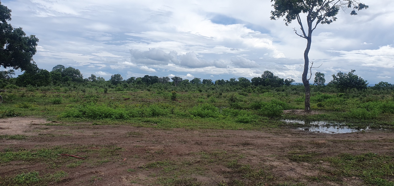 FAZENDA CANABRAVA, IZIDIO OU EGIDIO, VILA BOA, FLORES DE GOIÁS-GO