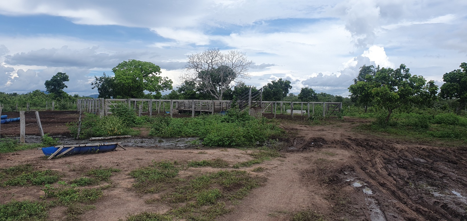 FAZENDA CANABRAVA, IZIDIO OU EGIDIO, VILA BOA, FLORES DE GOIÁS-GO