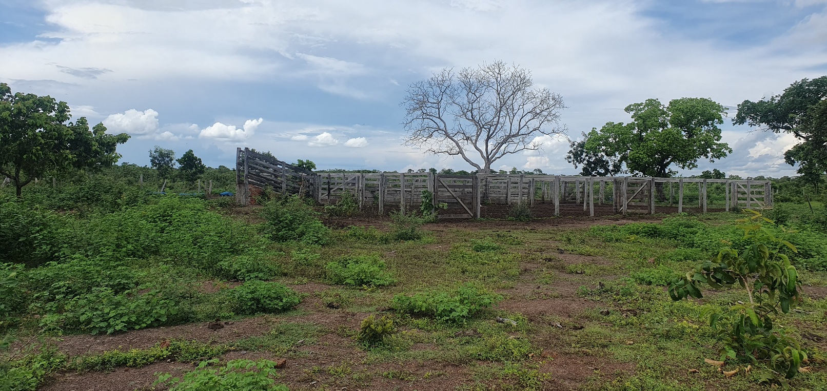 FAZENDA CANABRAVA, IZIDIO OU EGIDIO, VILA BOA, FLORES DE GOIÁS-GO
