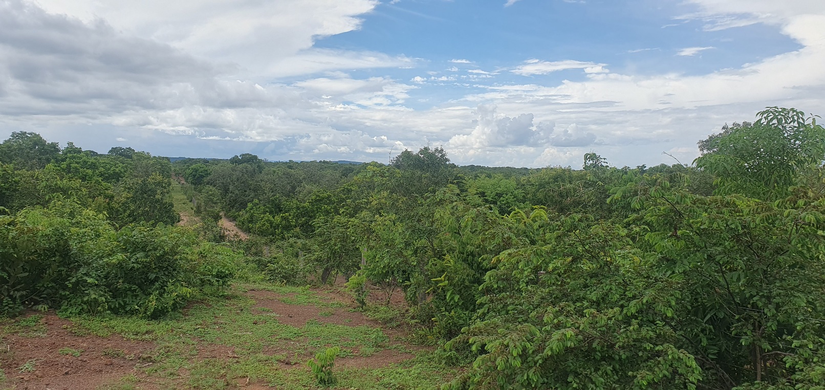FAZENDA CANABRAVA, IZIDIO OU EGIDIO, VILA BOA, FLORES DE GOIÁS-GO