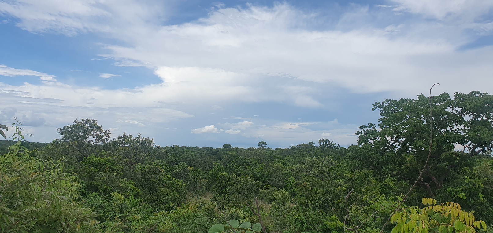 FAZENDA CANABRAVA, IZIDIO OU EGIDIO, VILA BOA, FLORES DE GOIÁS-GO