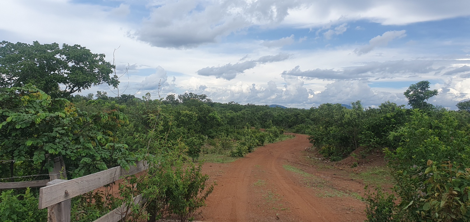 FAZENDA CANABRAVA, IZIDIO OU EGIDIO, VILA BOA, FLORES DE GOIÁS-GO