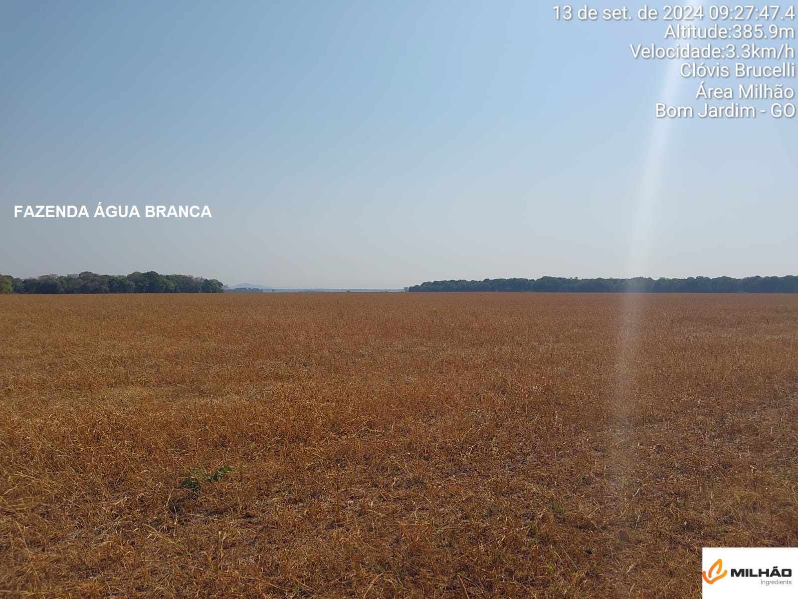 02 (DUAS) FAZENDAS EM BOM JARDIM DE GOIÁS-GO e MONTIVIDIU-GO