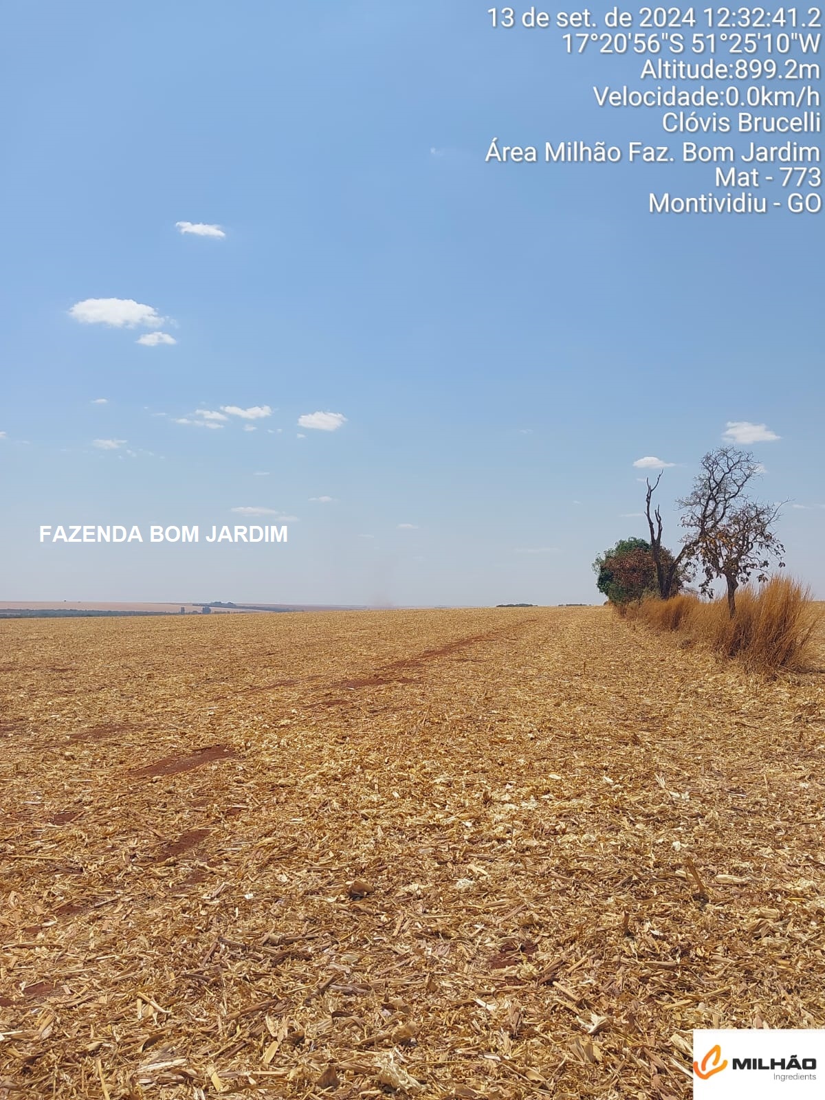 02 (DUAS) FAZENDAS EM BOM JARDIM DE GOIÁS-GO e MONTIVIDIU-GO