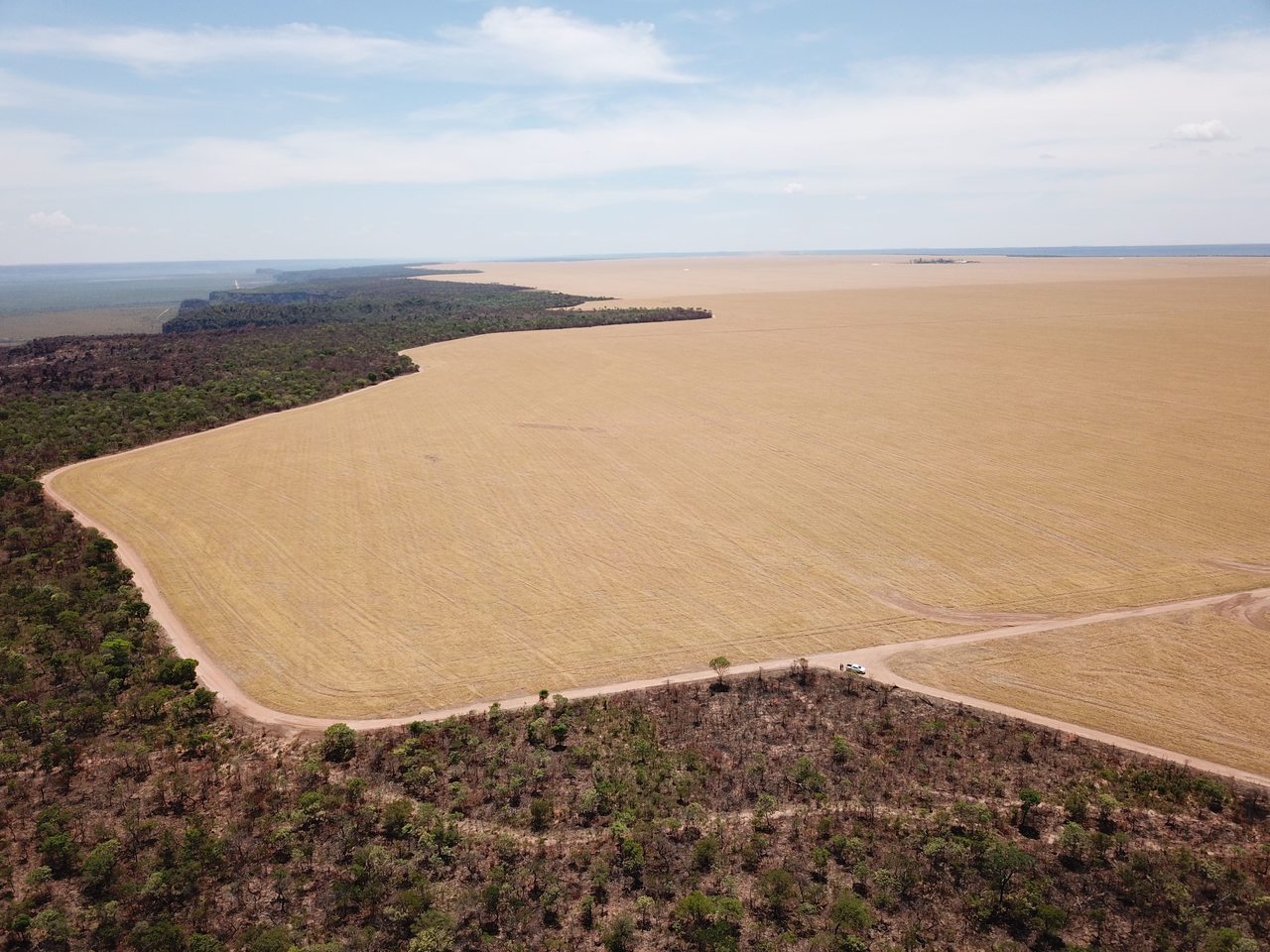 FAZENDA EM FORMOSA DO RIO PRETO-BA COM 71.200 HECTARES