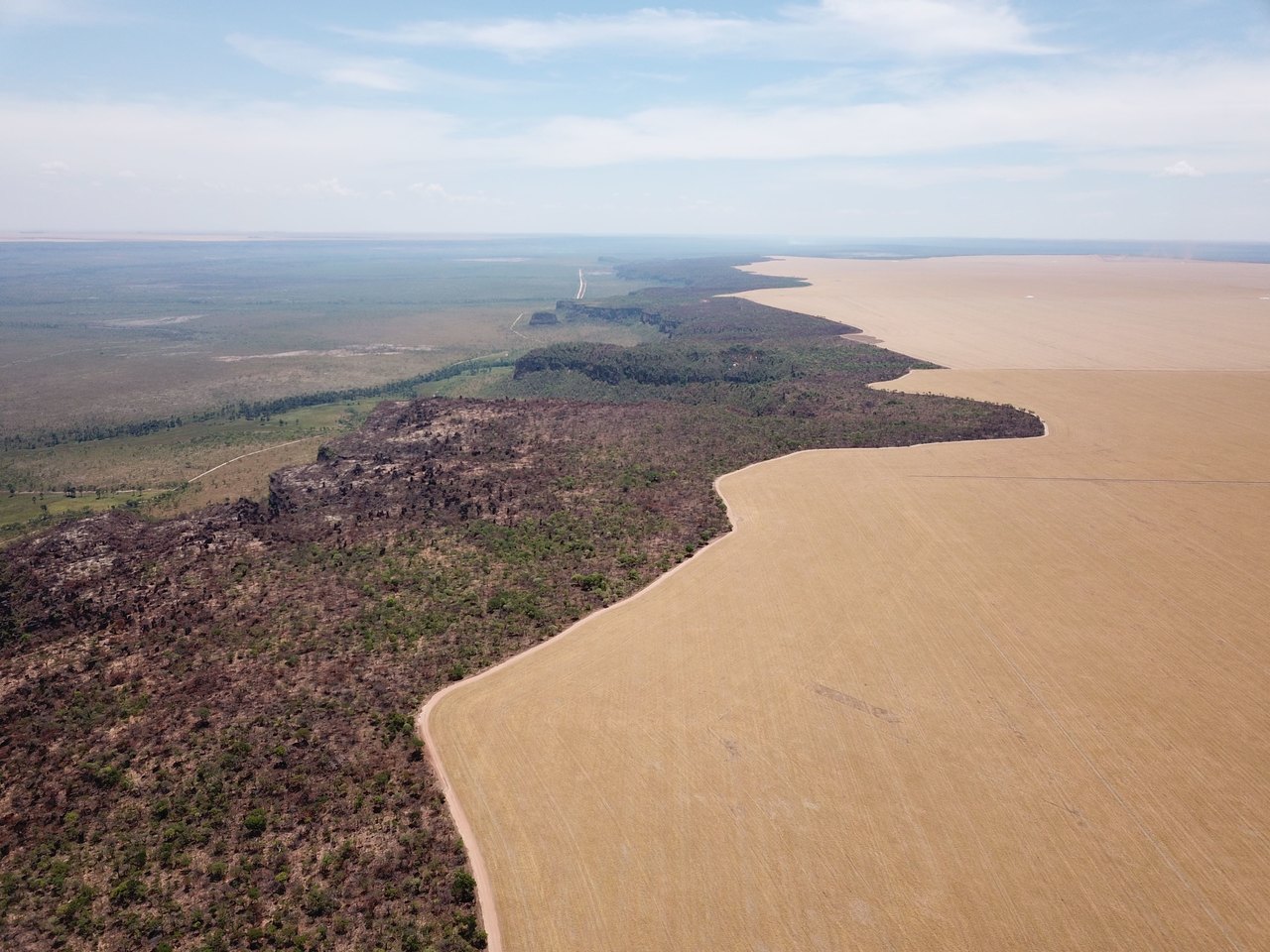 FAZENDA EM FORMOSA DO RIO PRETO-BA COM 71.200 HECTARES
