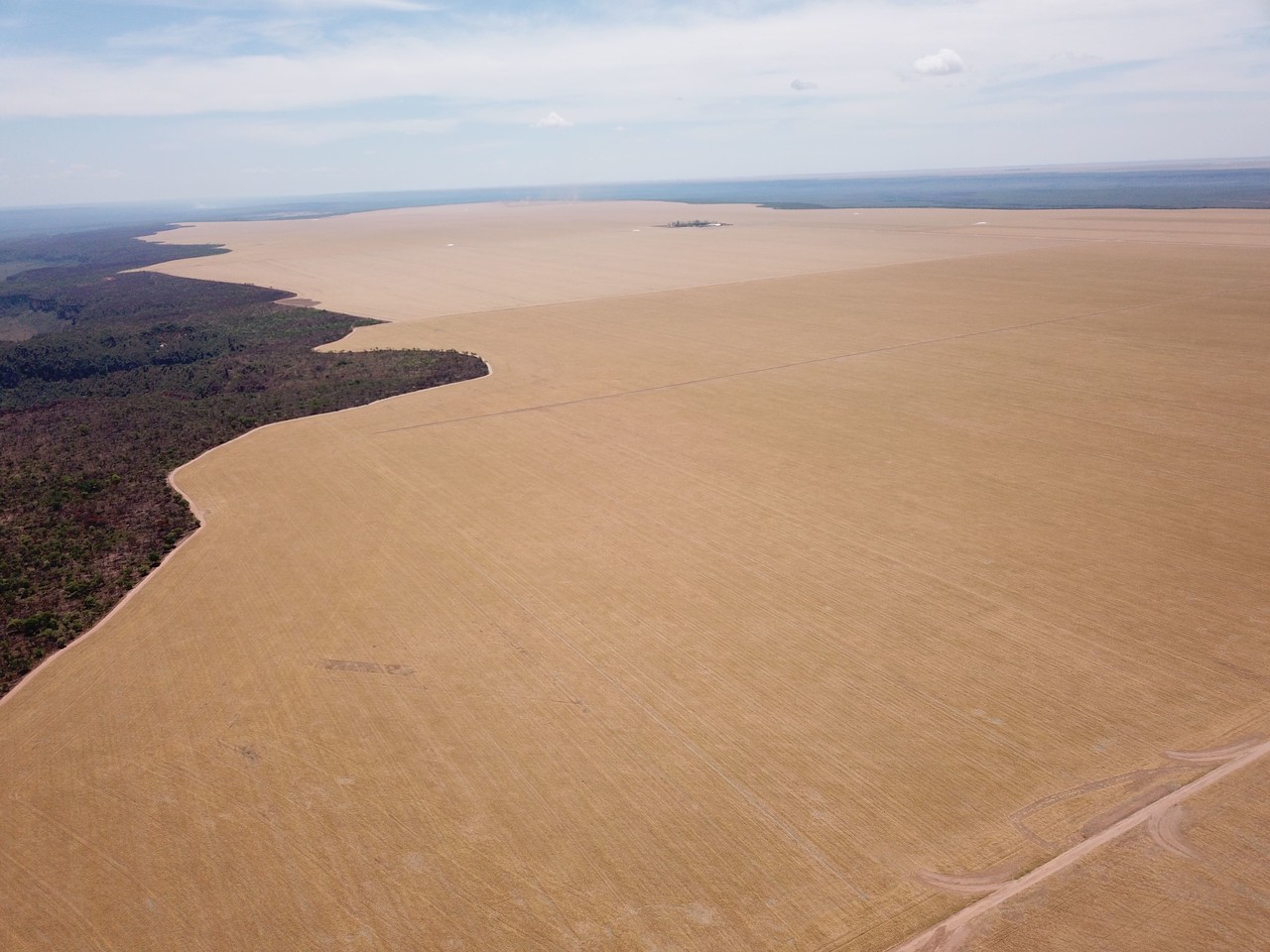 FAZENDA EM FORMOSA DO RIO PRETO-BA COM 71.200 HECTARES