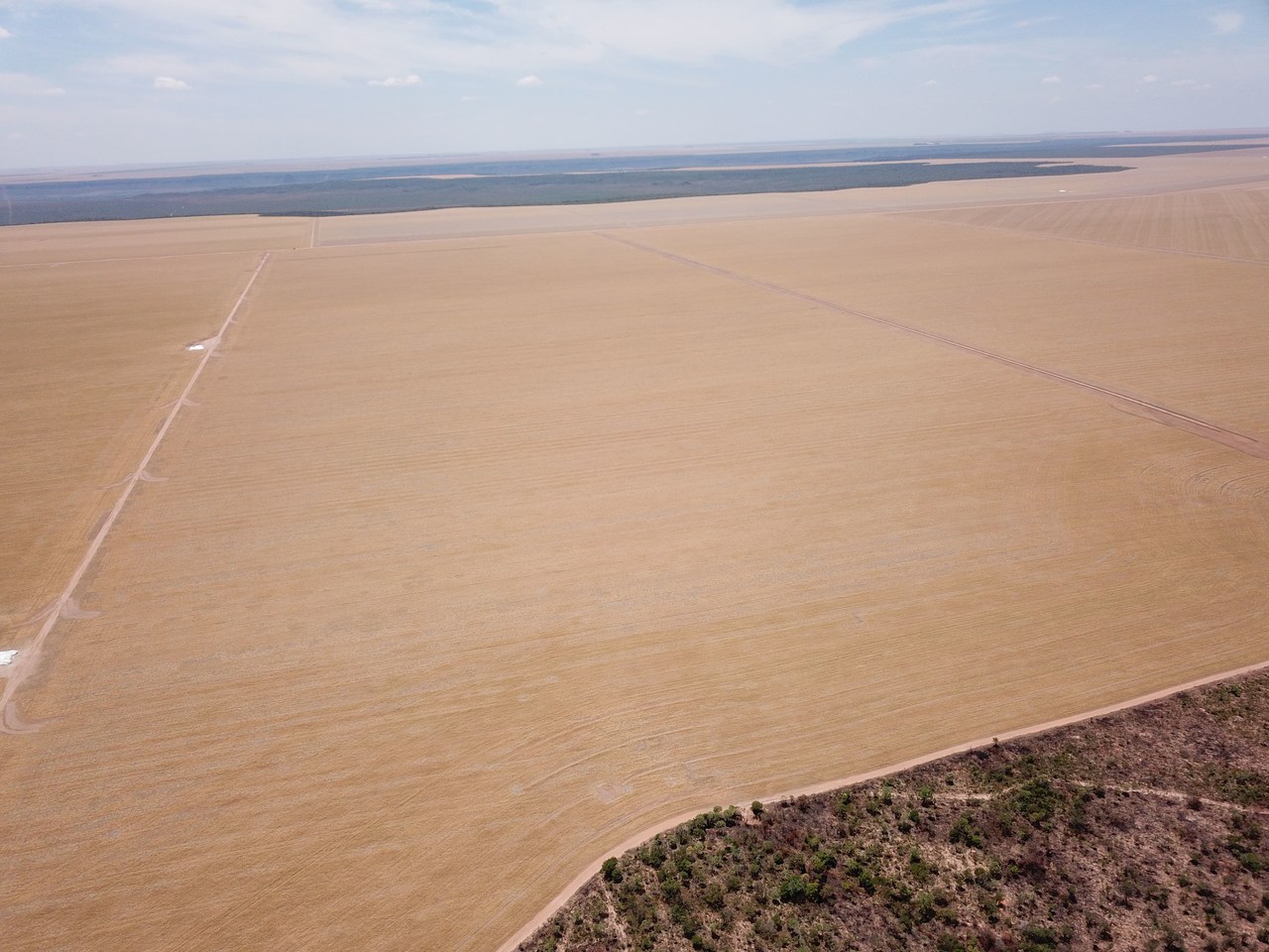 FAZENDA EM FORMOSA DO RIO PRETO-BA COM 71.200 HECTARES