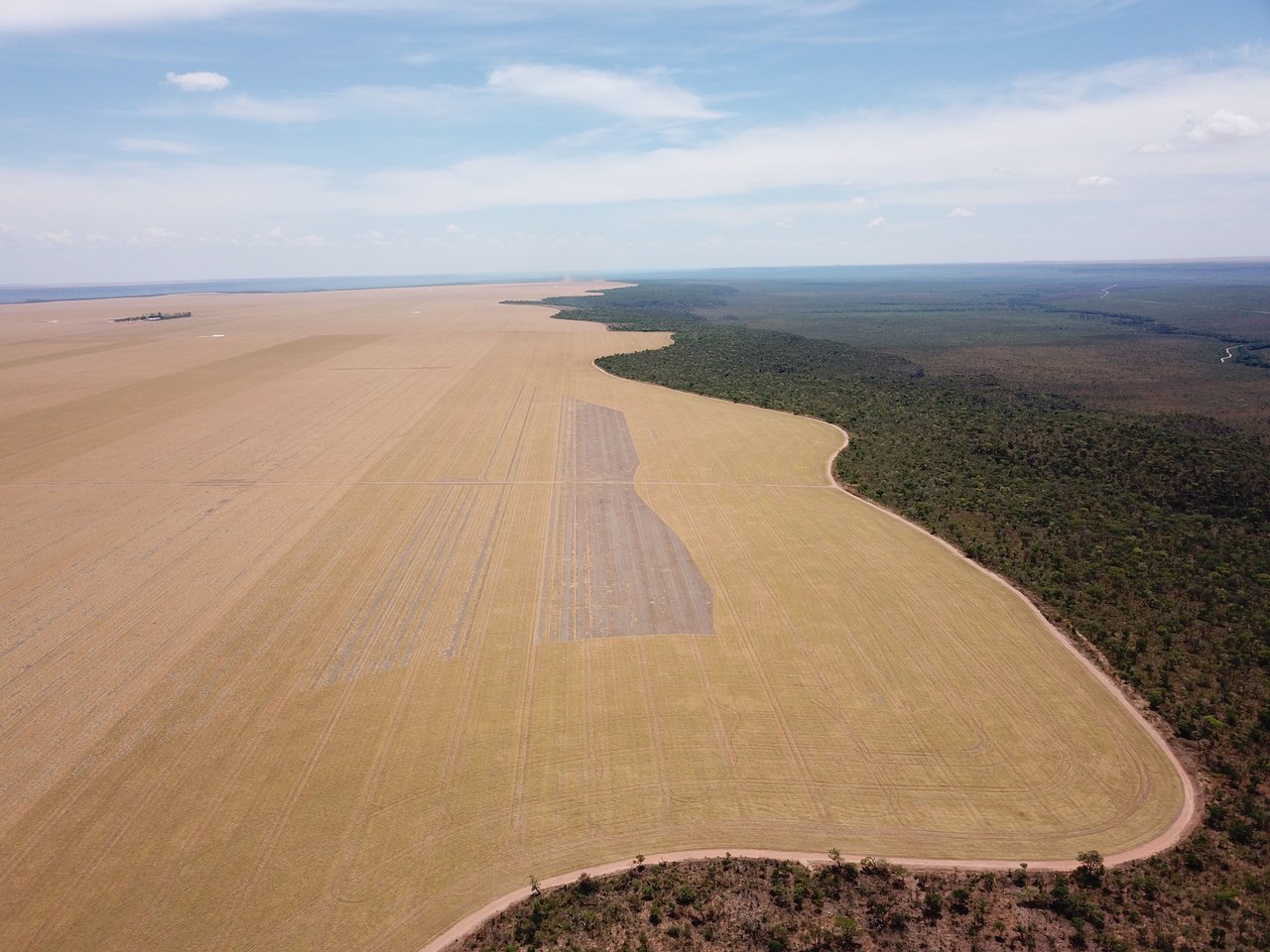FAZENDA EM FORMOSA DO RIO PRETO-BA COM 71.200 HECTARES