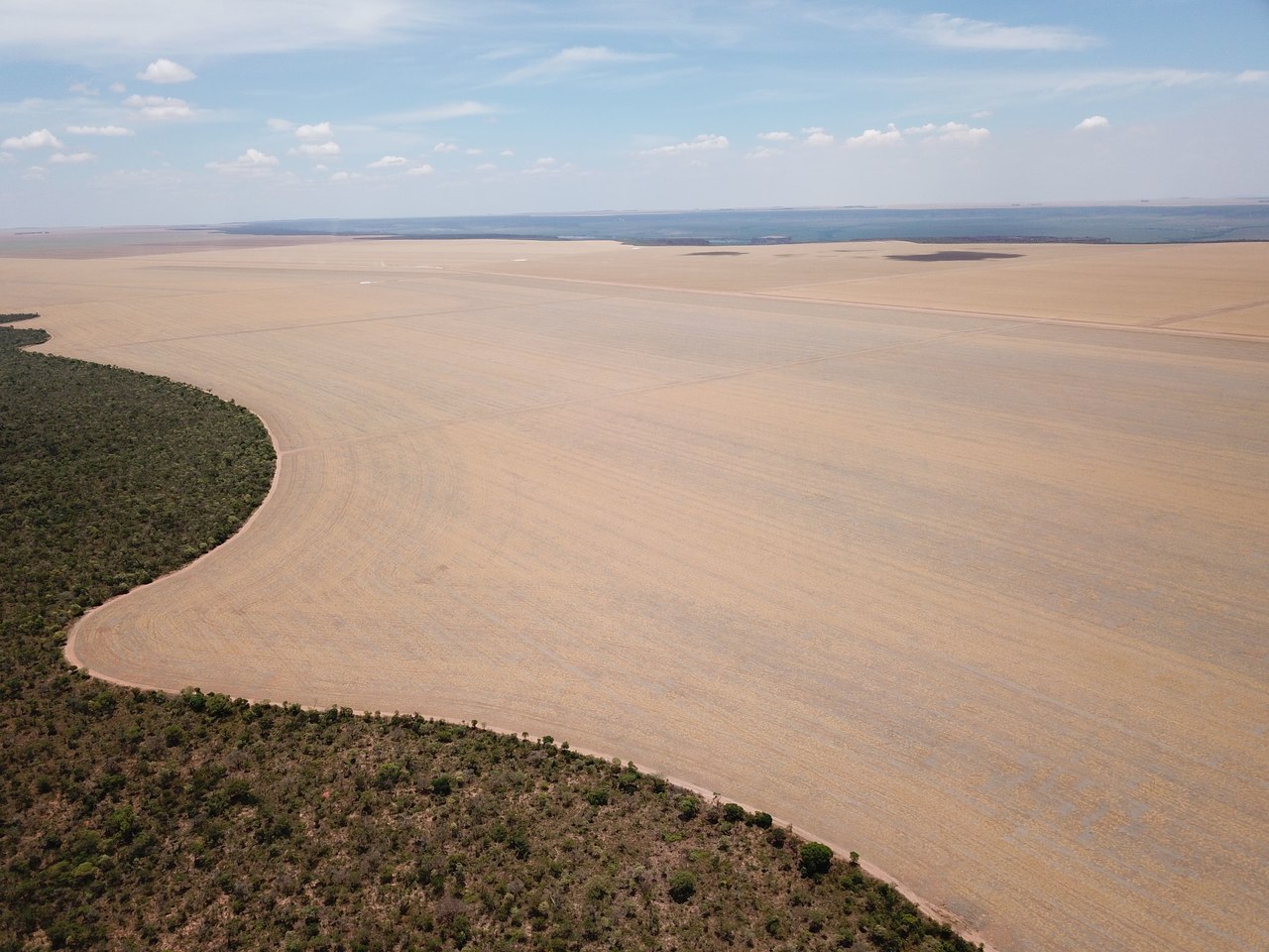 FAZENDA EM FORMOSA DO RIO PRETO-BA COM 71.200 HECTARES