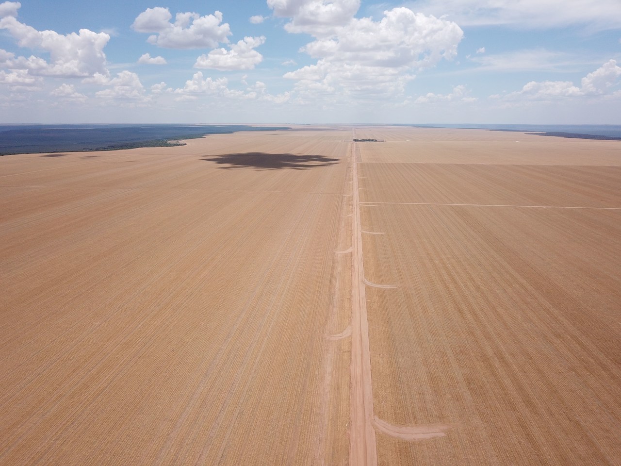 FAZENDA EM FORMOSA DO RIO PRETO-BA COM 71.200 HECTARES