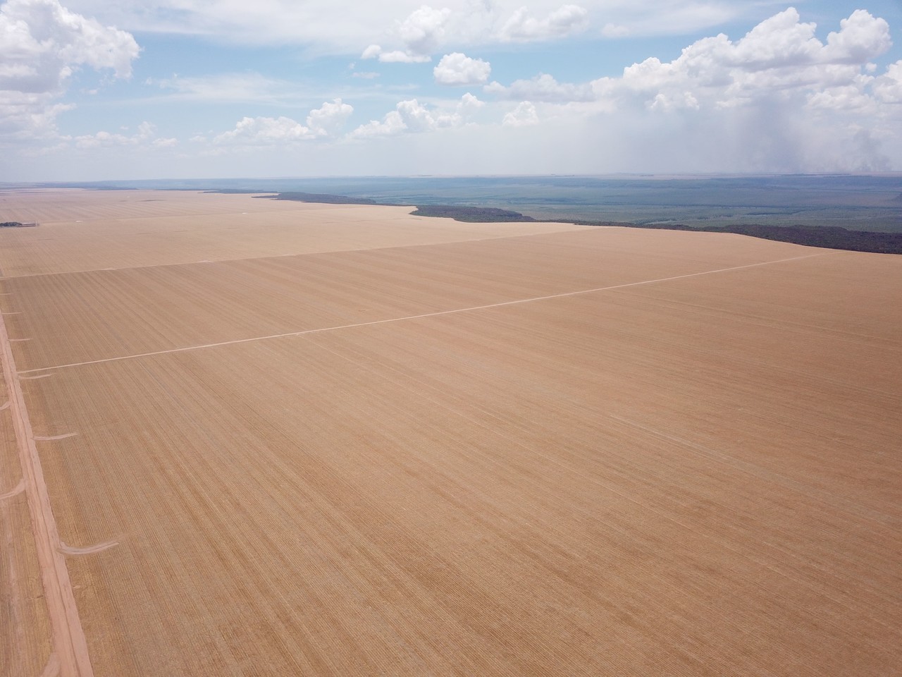 FAZENDA EM FORMOSA DO RIO PRETO-BA COM 71.200 HECTARES