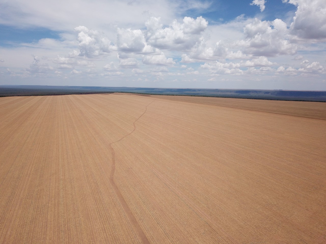 FAZENDA EM FORMOSA DO RIO PRETO-BA COM 71.200 HECTARES