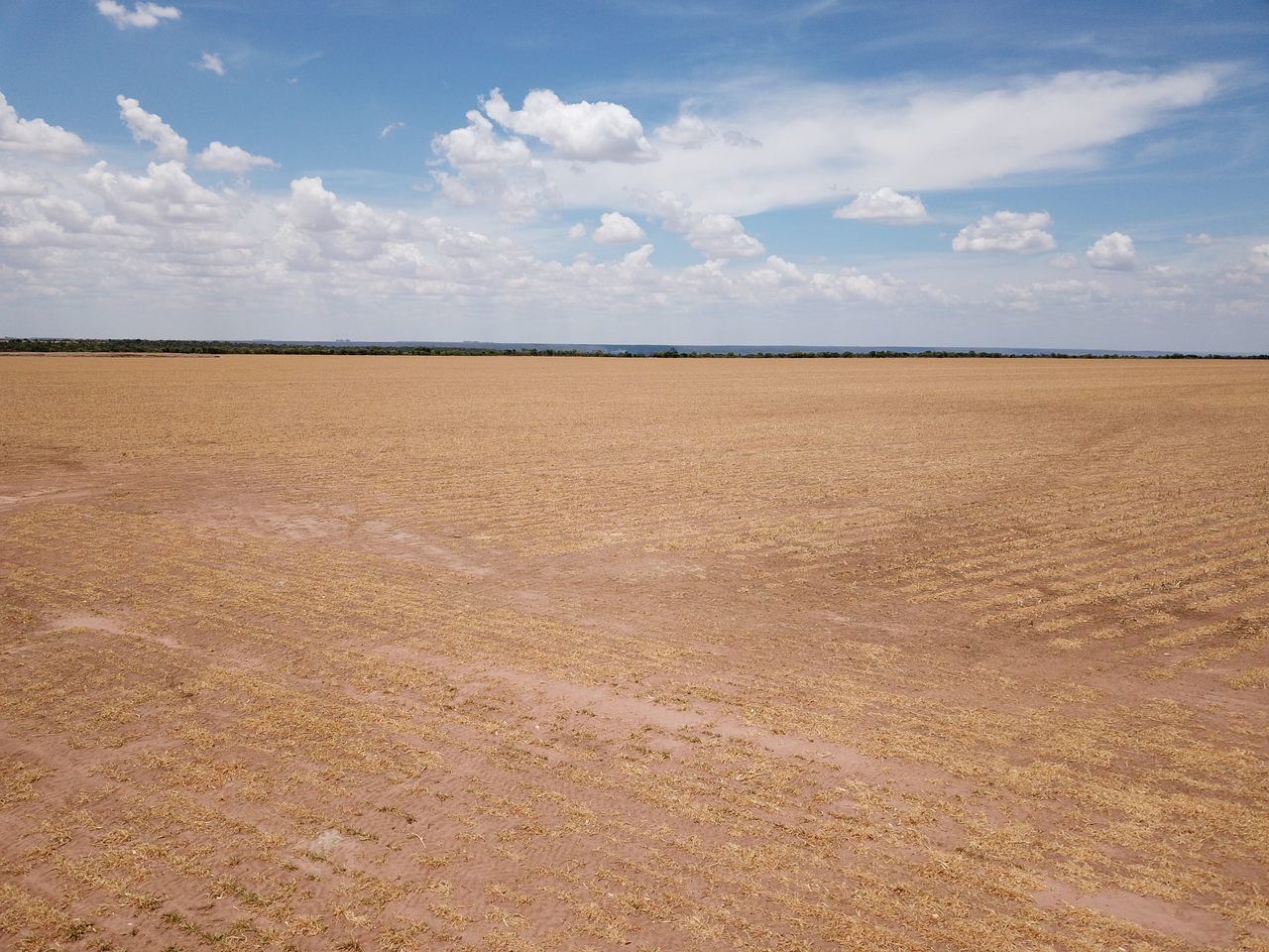 FAZENDA EM FORMOSA DO RIO PRETO-BA COM 71.200 HECTARES